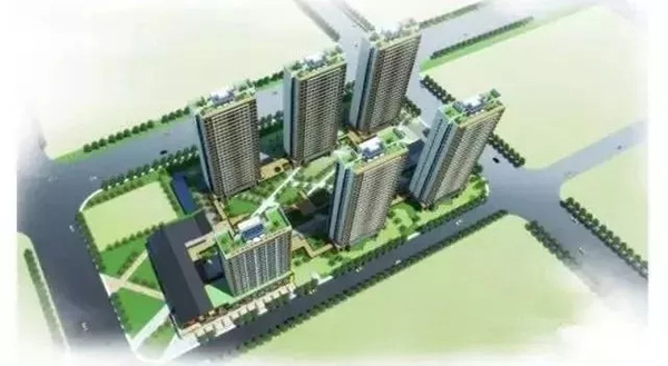 685.jpg