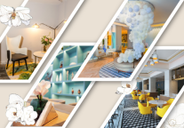 回首一周年 见证白玉兰的绽放时光