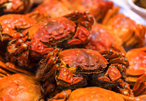 寻味阳澄湖 碧桂园凤凰酒店打造“金秋蟹礼”