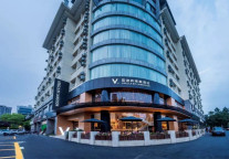 从品牌导入到全面上升 维嘉品牌这半年