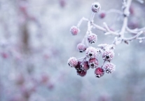 冰雪旅游迎巨大商机 冰雪+产品受热捧