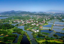 天青色等烟雨，而我在等——德清雷迪森维嘉酒店