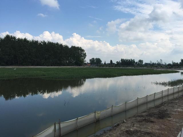 阳澄湖哪里吃蟹比较好,浓情蟹意江南水乡 阳澄湖哪里吃蟹比较好,浓情蟹意江南水乡