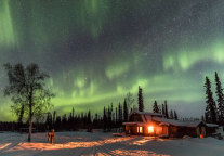 迈点首发 | 夏季看熊 冬季看极光 阿拉斯加中国游客快速增长