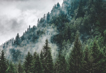 海南瑞泽签约马术文化度假小镇 投资额30亿