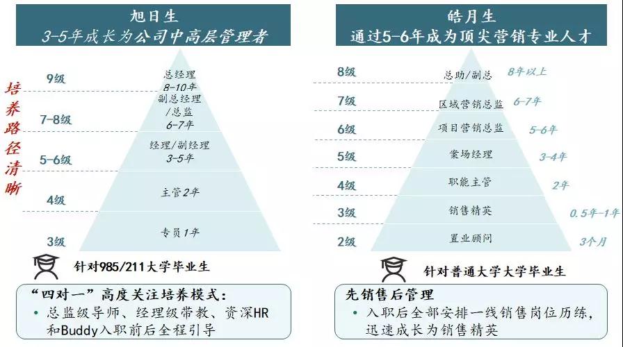 图片来源:赛普咨询 图片来源:赛普咨询