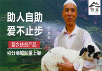 碧桂园凤凰酒店助推“心愿100”活动，助力贫困家庭学生完成学业