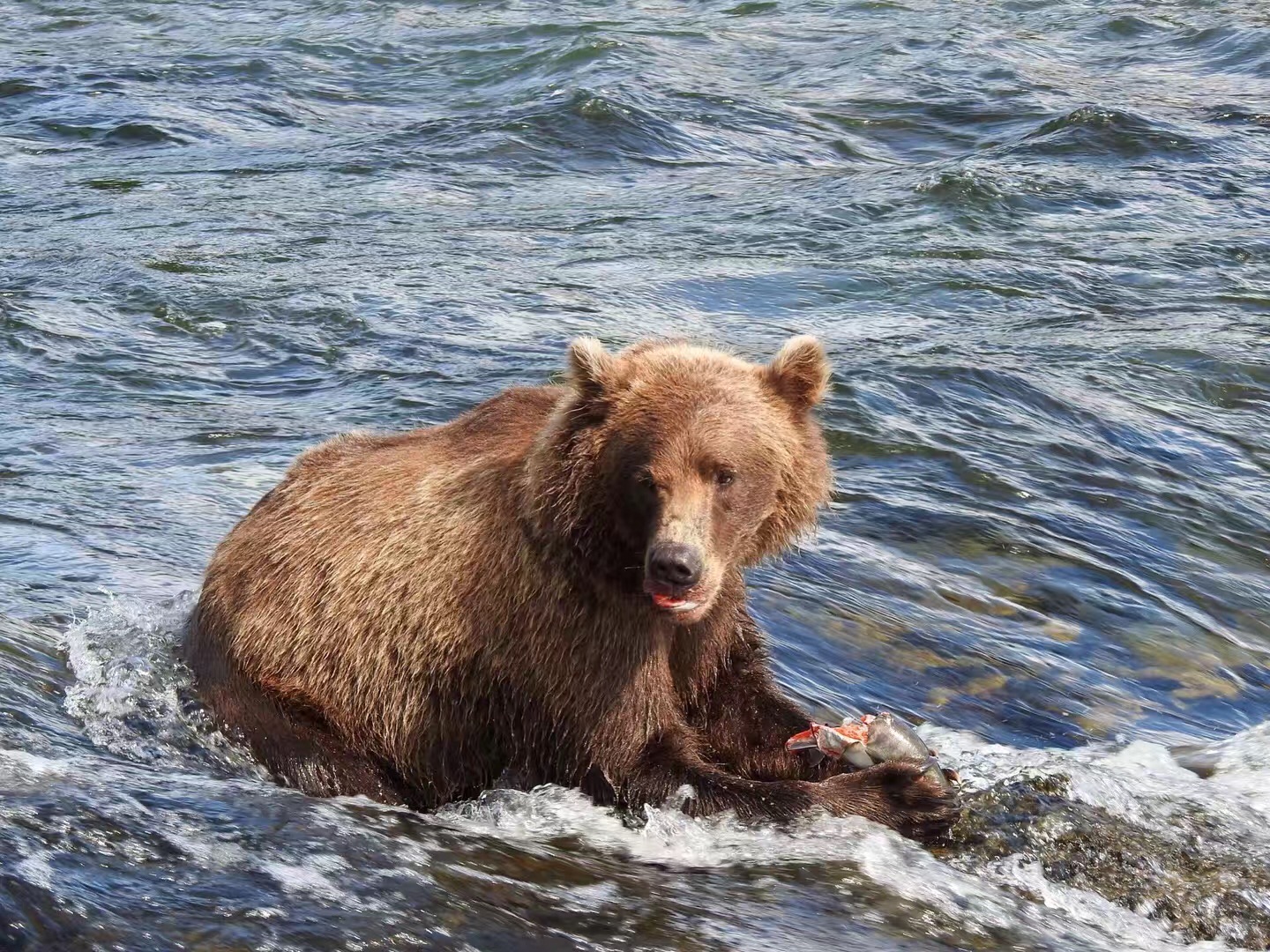 微信图片_20190716102440.jpg 微信图片_20190716102440.jpg