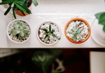 6月长租公寓5大关键词：巨额补贴  融资  剥离  爆仓  扫黑除恶