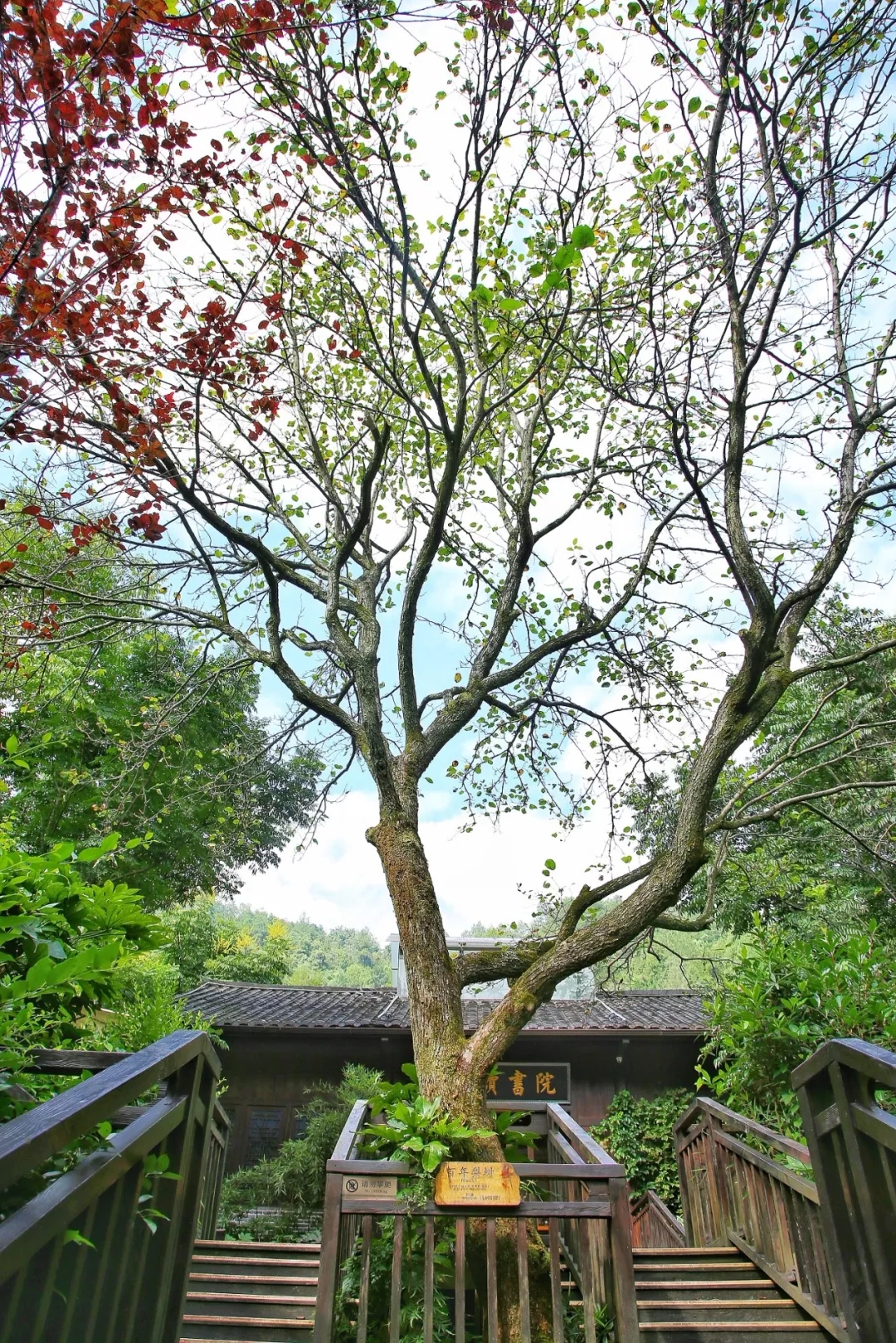 640.webp (6).jpg 640.webp (6).jpg