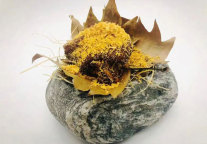 御庭集团倾情打造餐饮新品牌 -“蘇一”