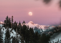 帛仁旅游终止新三板挂牌 去年上半年亏损470万元