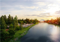 来小城宜兴 住怡心的青皮树