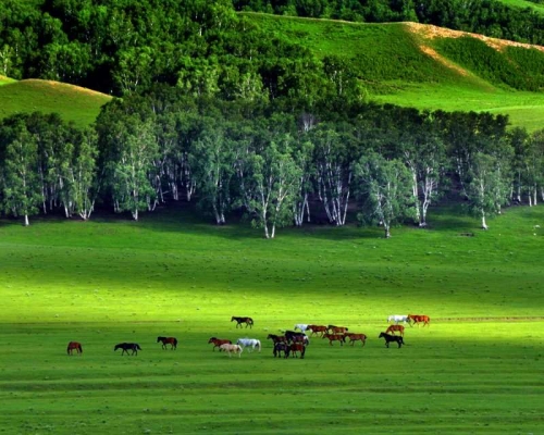 chengde190616