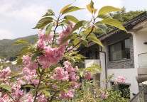 中央：2019年投入3000亿支持康养+旅游+地产模式