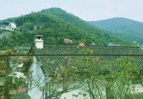 赏花经济 “花期”可否更久些