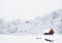 总投资20亿元！宁波奉化要建冰雪体育小镇