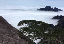 黄山：依托“旅游+” 驶上快车道