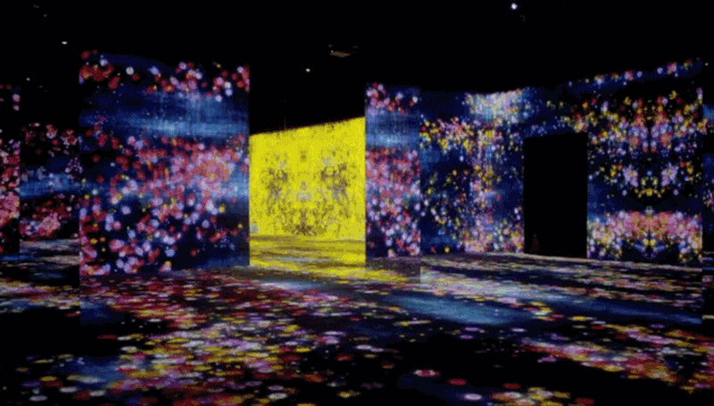 铂涛10.gif