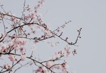 在文旅世界里逆天改命的博物馆奇妙夜