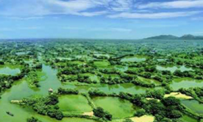 浙江省杭州西溪湿地旅游区