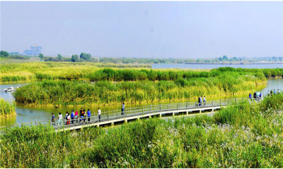 山东省东营市黄河口生态旅游区