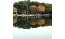 上海长风公园·长风海洋世界景区