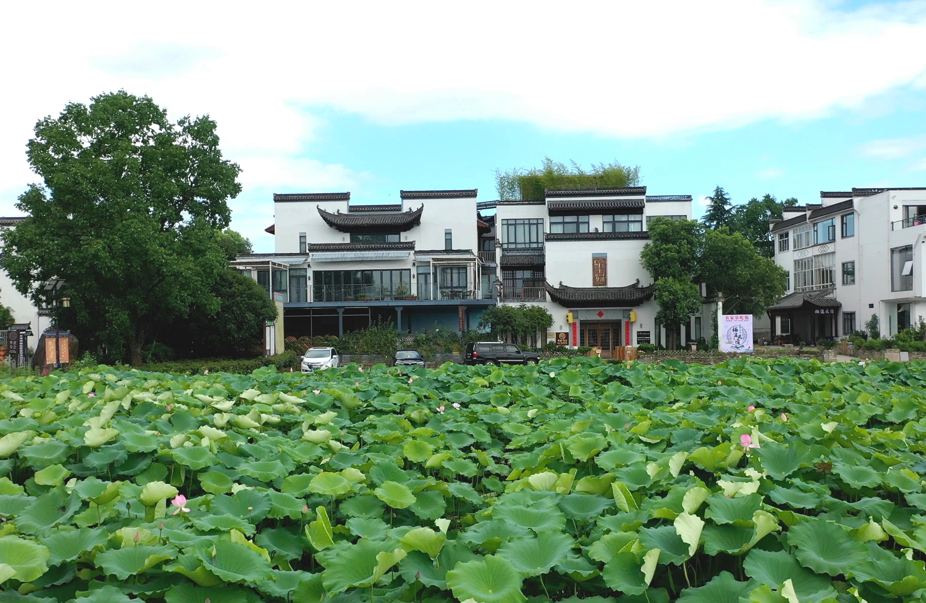 黄山梦溪方会设计收藏酒店(西溪南古村落店)