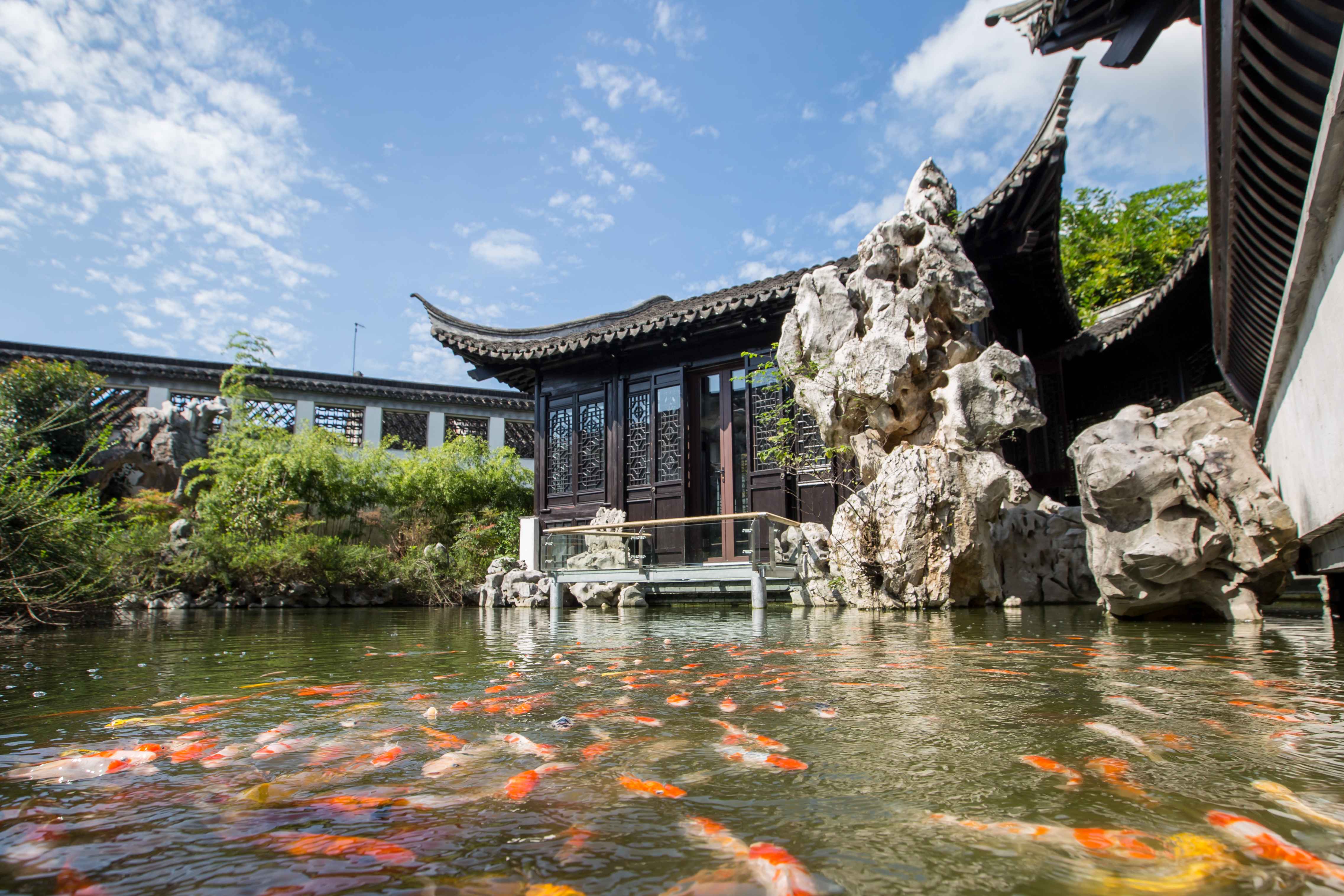 苏州震泽水岸寒舍酒店