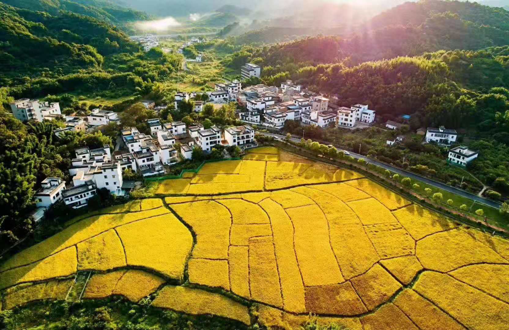 广州稻喜湾温泉民宿