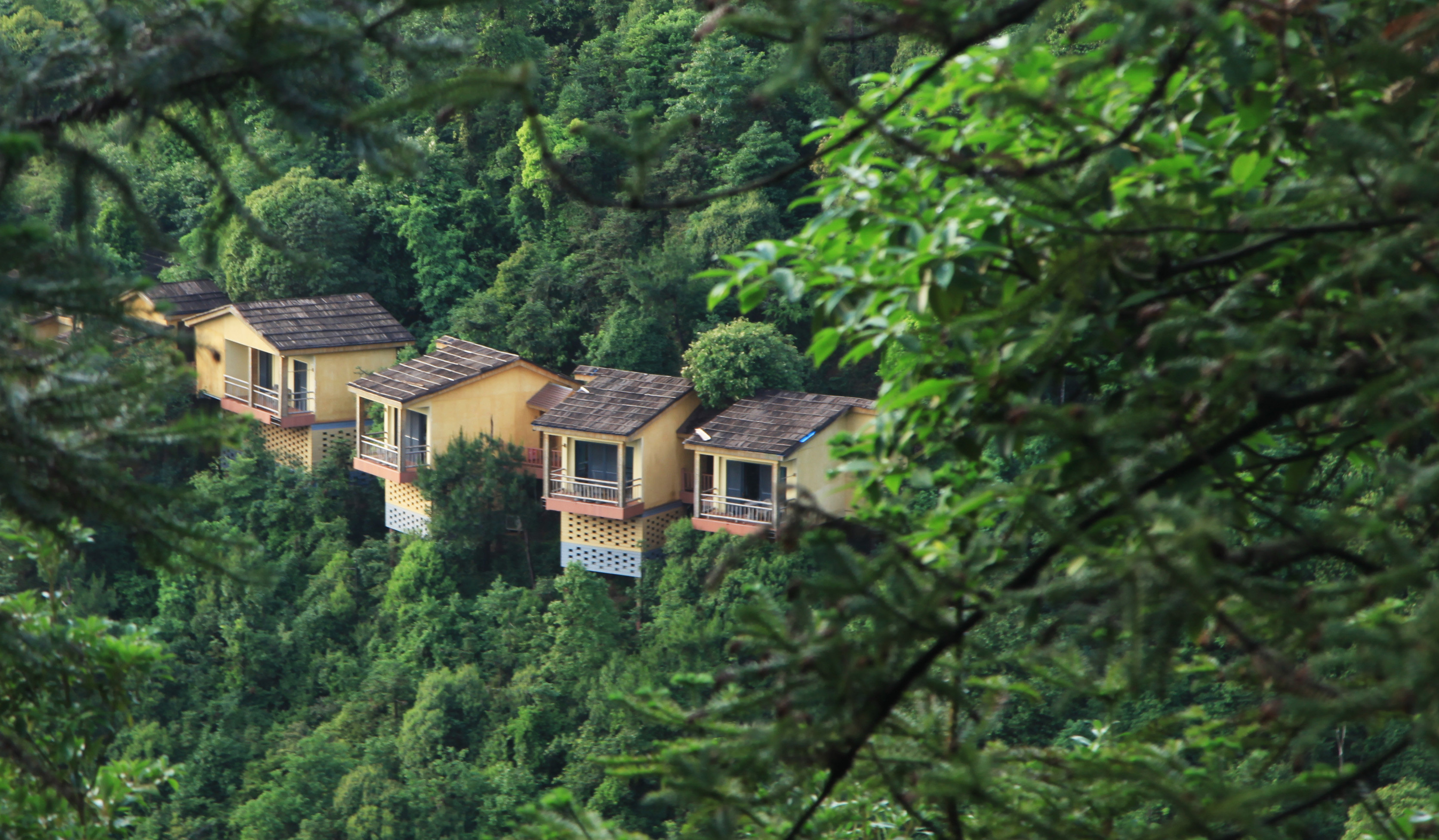 丫山旅游度假区-九成山舍别墅酒店